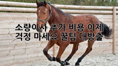 📦 소량이사 추가 비용, 이제 걱정 마세요! 꿀팁 대방출 🍯