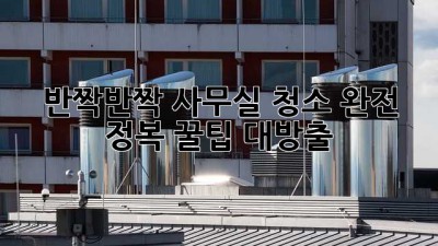 ✨반짝반짝✨ 사무실 청소 완전 정복! 꿀팁 대방출🍯